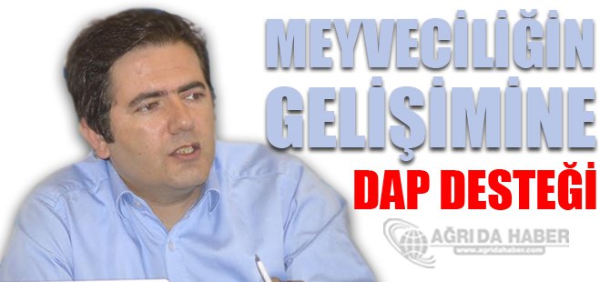 Meyveciliğin Gelişimine, Dap Desteği