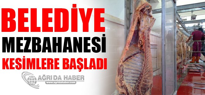 Ağrı Belediyesi Mazbahana'sı Kesime Başladı