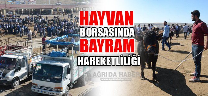 Ağrı Hayvan Borsası'nda Kurban Bayramı hareketliliği