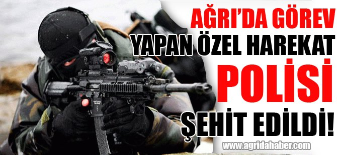 Ağrı'da Görev Yapan Özel Harekat Polisi Şehit Edildi