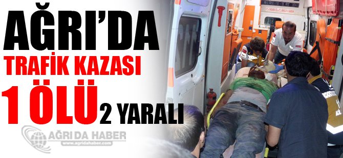 Ağrı'da trafik kazası: 1 ölü, 2 yaralı