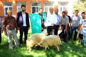 Erciş'te 'Sürü Yönetimi Elemanı Benim' Projesi
