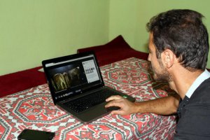 kurbanlıklarını nakliye ücreti vermemek için internetten satışa çıkardı