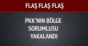 Flaş..Flaş...PKK'nın Bölge Sorumlusu Yakalandı