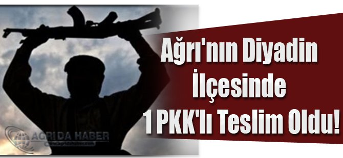 Ağrı'nın Diyadin İlçesinde 1 PKK'lı Teslim Oldu!