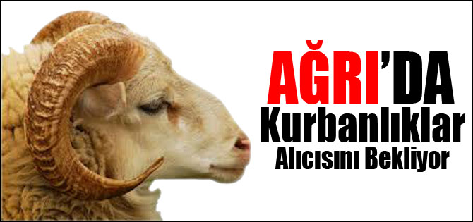 Hayvan Pazarında Kurbanlıklar Alıcısını Bekliyor
