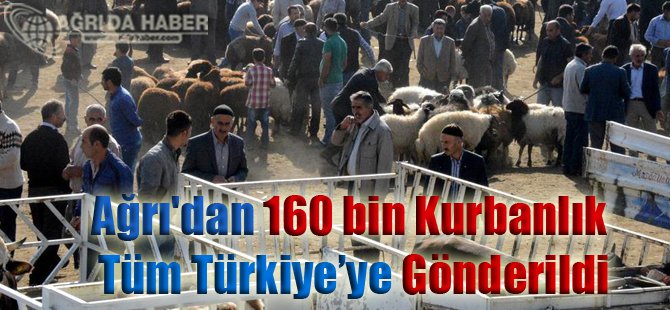 Ağrı'dan Türkiye'nin Dört Bir Yanına 160 bin kurbanlık!