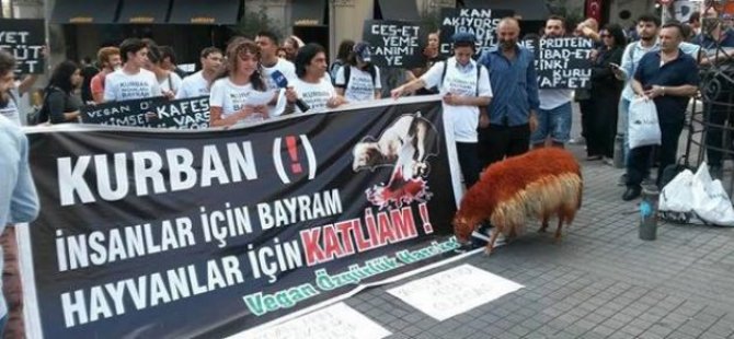 HDP Zonguldak Milletvekili Adayından Kurban İbadetine Hakaret!
