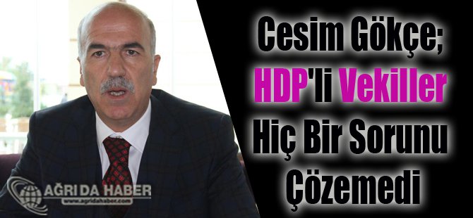 Cesim Gökçe; HDP'li Vekiller Hiç Bir Sorunu Çözemedi