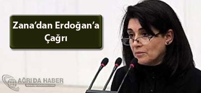 Zana'dan Erdoğan'a Çağrı: Acılarımızdan Birlikteliği Doğurmalıyız