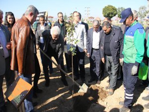 Malatya Uluslararası Film