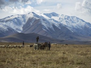 Vanda kar yağışı etrafı beyaza buladı