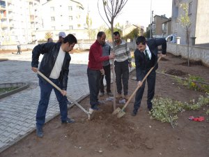 Muş Belediyesinin yol çalışmaları hız kesmeden devam ediyor