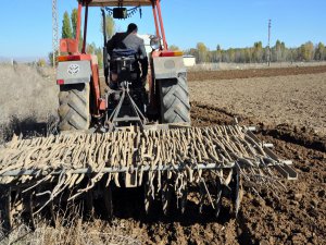 Muş'ta Güneşli hava çiftçilerin Yüzünü Güldürdü