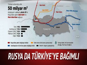 Ekonomi Uzmanı Karagöl: Enerjide Rusya da Türkiye'ye bağımlı