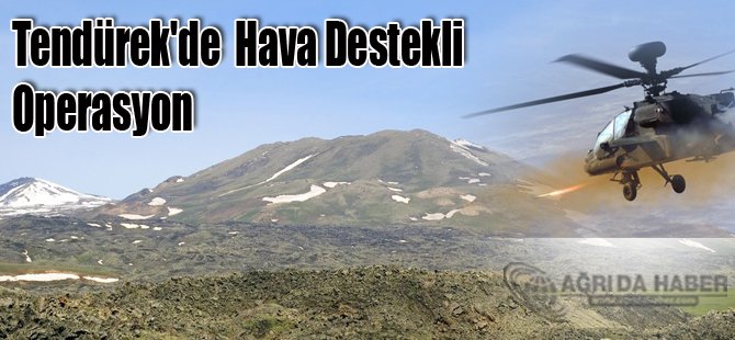 Ağrı Tendürek Dağı'na Havadan ve Karadan Operasyon !