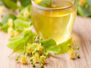 Dikkat Ihlamuru Meğer yanlış biliyormuşuz!