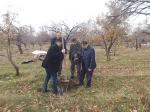 Kağızman'da çiftçilere meyve fidanı