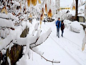 Karabük ve Bolu'da eğitime kar engeli Okullar Tatil