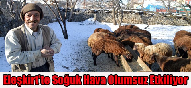 Eleşkirt'te Soğuk Hava Olumsuz Etkiliyor