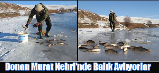 Donan Murat Nehri'nde Balık Avlıyorlar