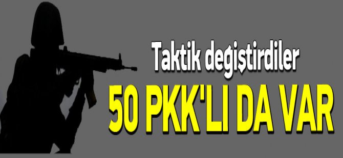 Diyarbakır'da PKK taktik değiştirdi! 50 teröristte kanas var !