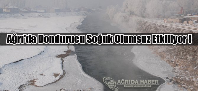 Ağrı'da Dondurucu Soğuk Olumsuz Etkiliyor !