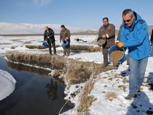 Ardahan'da yaban hayvanları için doğaya yem saçıldı