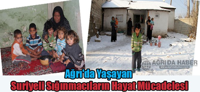 Ağrı'da Yaşayan Suriyeli Sığınmacıların Hayat Mücadelesi