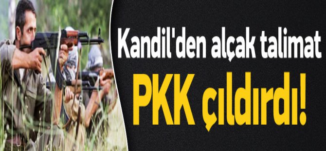 PKK çıldırdı! Hainlere şok talimat ambulansları vurun !