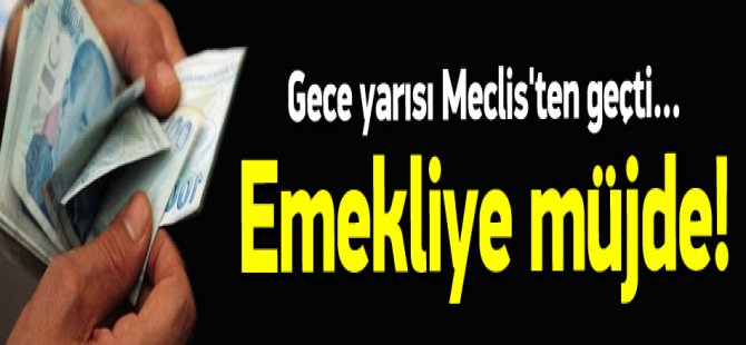 Emeklilere 100 TL'lik zam tasarısı kabul edildi ! Ayrıntılar ?