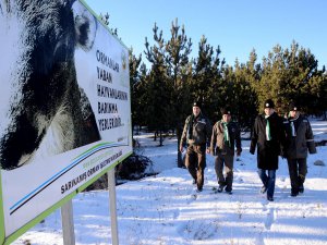 Kars'ta yaban hayatı için doğaya yem