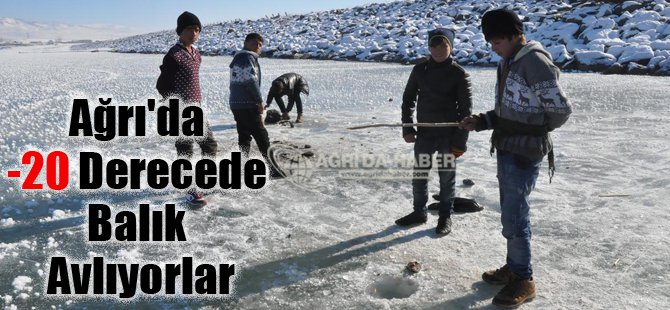 Ağrı'da Eksi 20 Derecede Buz Tutan Barajda Balık Avlıyorlar