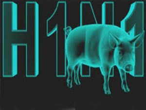 Son Dakika Van ve Ankara'da Domuz Gribi Şüphesinde Artış