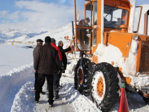 Van'da Karla Mücadele Çalışmaları