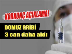 Domuz Gribinden Dolayı Ölenlerin sayısı 3'e yükseldi !