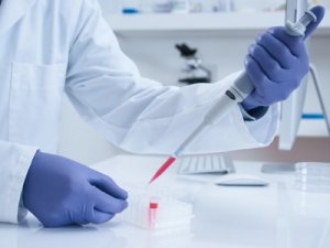 Tüp Bebekte Geliştirilen Yeni Yöntemle Daha Fazla Sonuç Alınacak