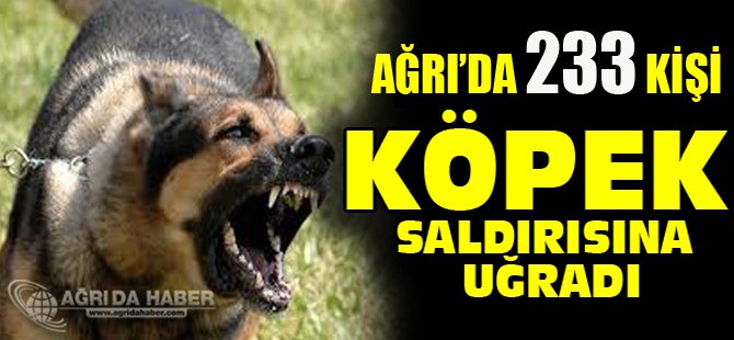 Ağrı'da 233 Kişi Köpek Saldırısına Uğradı