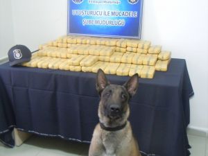 Malatya'da 45 Kilogram Eroin bulundu