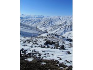 Kuşlar İçin Doğaya Yem Bırakıldı