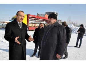 Muş'tan Almanya'ya Taş İhracı