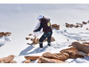 Erzurum'da Yaban Hayatı İçin Doğaya Ekmek Bırakıldı