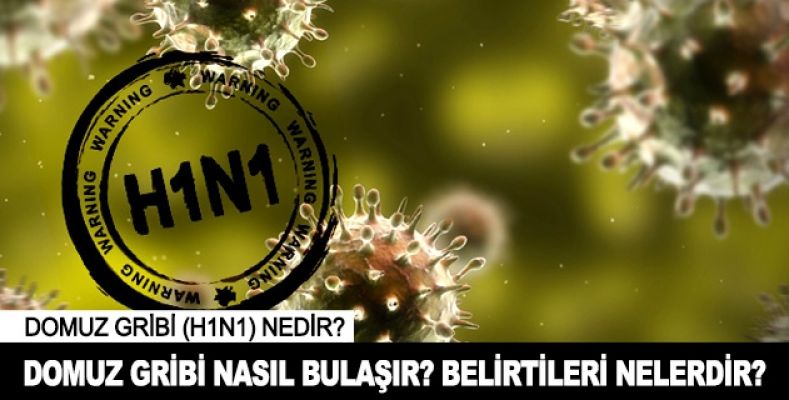 H1N1 Domuz Gribi Nedenleri, Domuz gribinden nasıl korunuruz,Sağlık haberleri