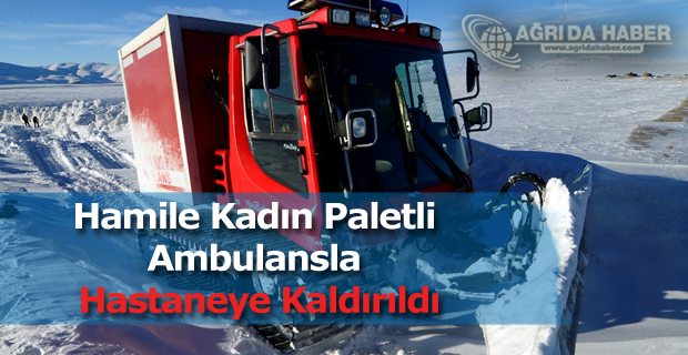 Ağrı'da Rahatsızlanan Hamile Kadın Paletli Ambulansla Hastaneye Kaldırıldı