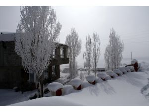 Van Çaldıran'da Kış