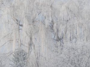 Erzurum-Erzincan karayolunda yoğun Sis