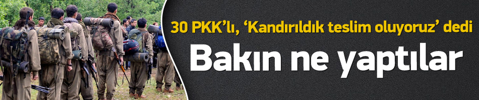 Kandırıldık teslim oluyoruz diyen 30 PKK'lı Diğer Teröristler Tarafın'dan Saldırı Düzenlendi !