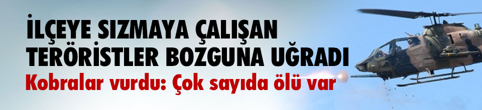 İDİL'E SIZMAYA ÇALIŞAN TERÖRİSTLER BOZGUNA UĞRADI