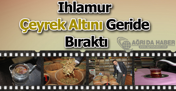 Ihlamur Çeyrek Altını Geride Bıraktı