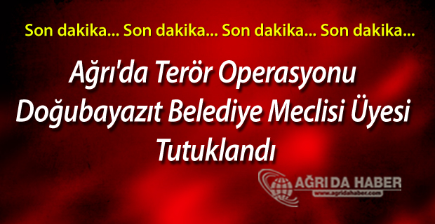 Ağrı'da Terör Operasyonu Doğubayazıt Belediye Meclisi Üyesi Halis Gültekin Tutuklandı